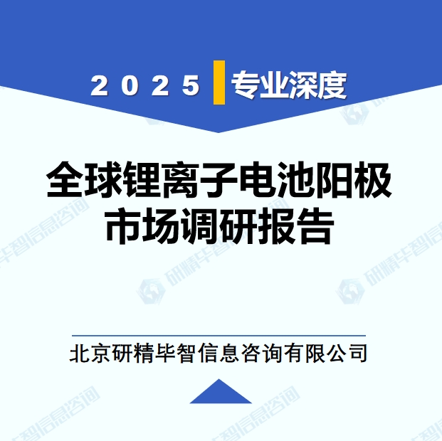 2025年全球与中国锂离子电池阳极市场深度调研报告：行业趋势与投资前景分析