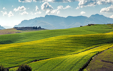 中央一号文件打出政策“组合拳”，促进农产品价格企稳回升