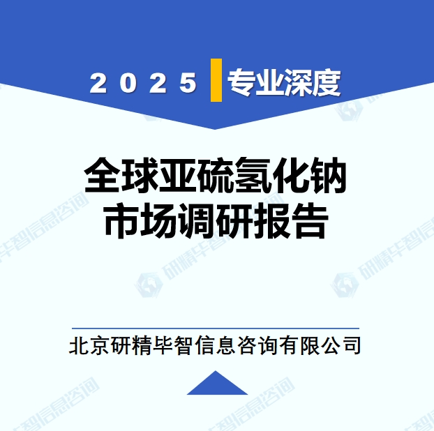 2025年全球与中国亚硫氢化钠市场深度调研报告：行业趋势与投资前景分析