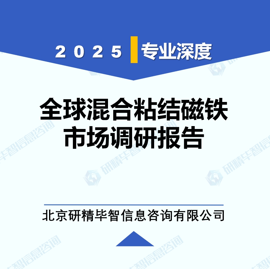 2025年全球与中国混合粘结磁铁市场深度调研报告：行业趋势与投资前景分析
