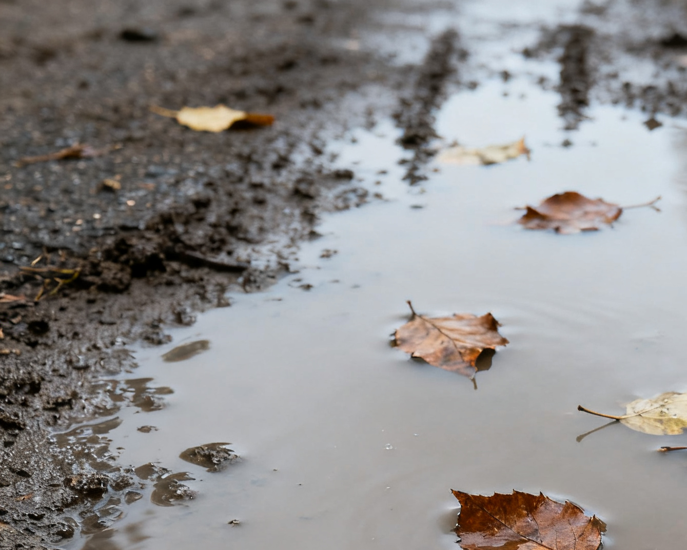 全球污泥处理行业深度解析与投资机遇 全球污泥处理行业深度解析与投资机遇