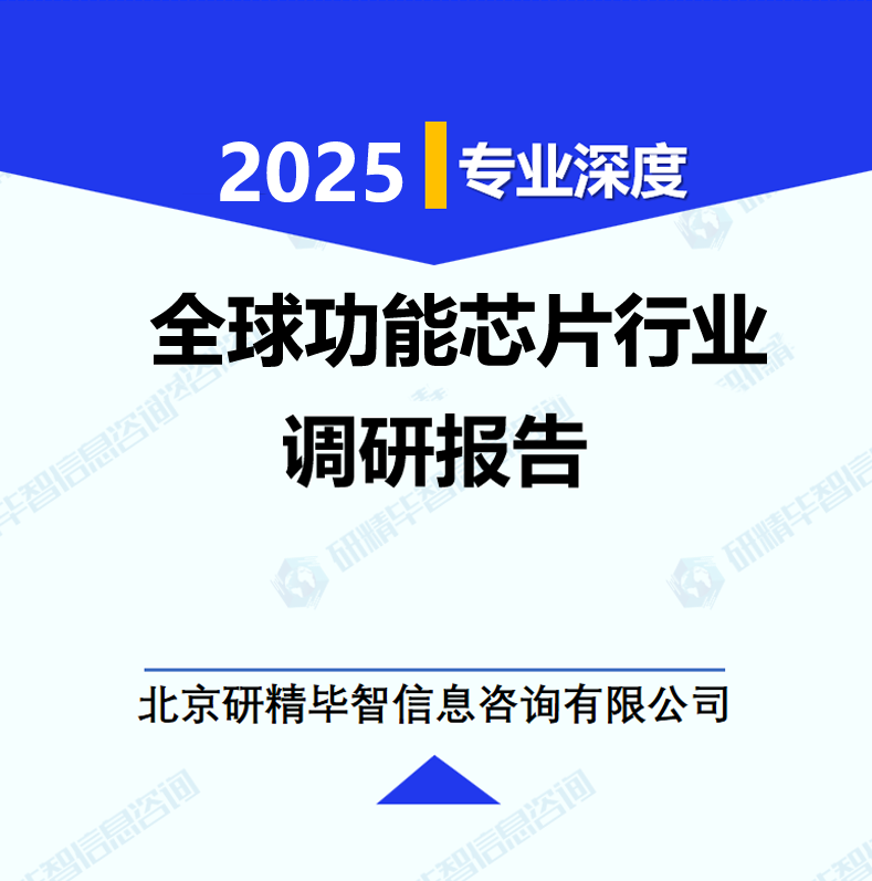 全球功能芯片行业调研报告