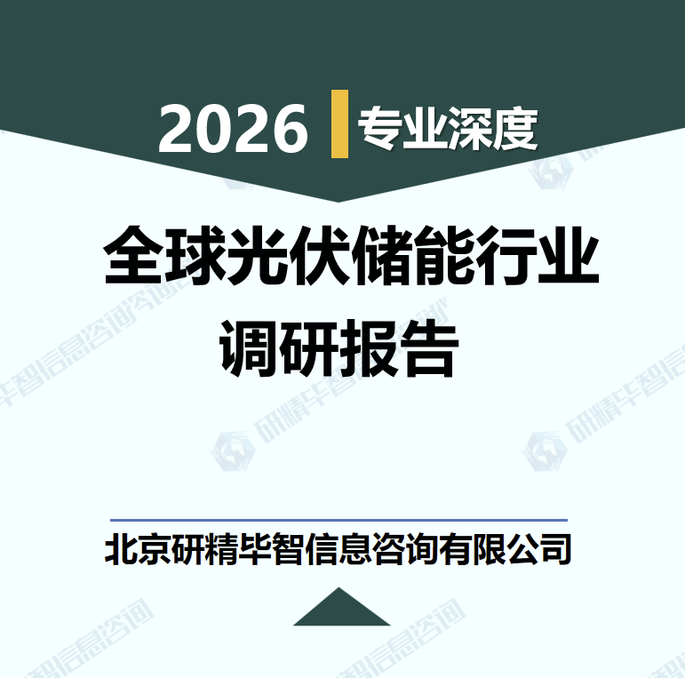 全球光伏储能产业链竞争格局与商业落地路径分析研究报告