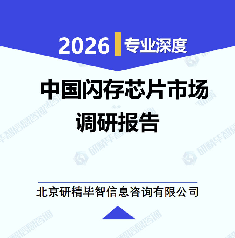 中国闪存芯片市场调研报告