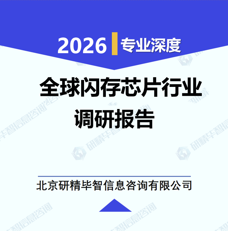 全球闪存芯片行业调研报告