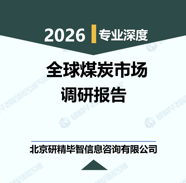 2026-2032年全球煤炭市场供需格局与投资机遇调研报告