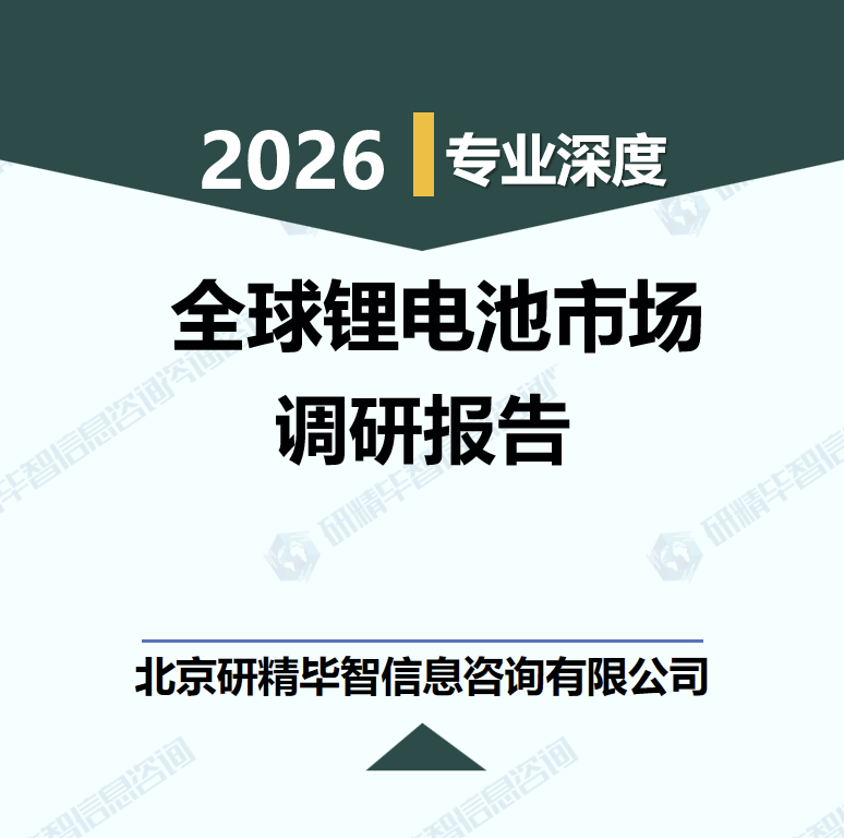 2025-2030年全球锂电池市场供需与投资战略调研报告