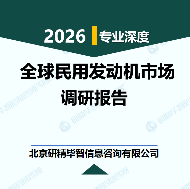 2025-2030年中国民用发动机产业发展现状与全球竞争策略分析研究报告