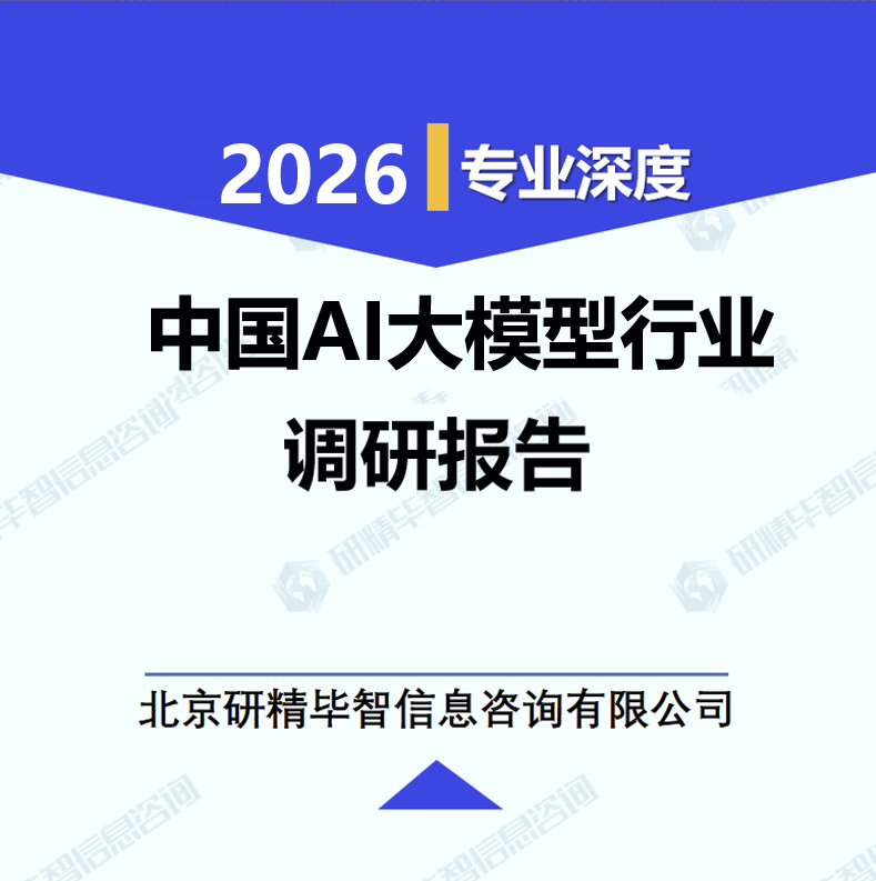 中国AI大模型行业研究报告